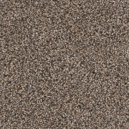 1-5348-381-1200-a-variant-room-scene