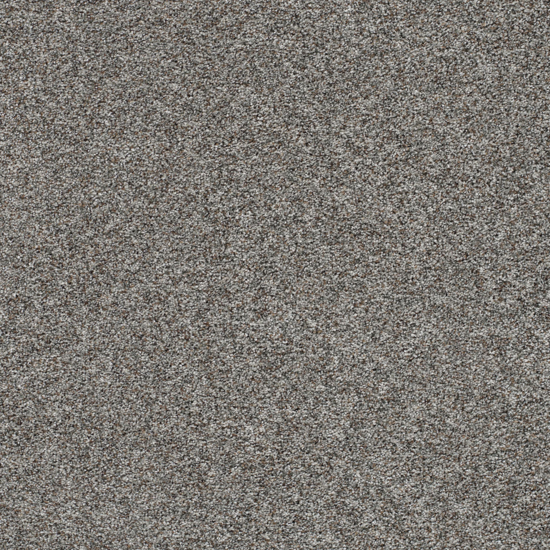 1-5665-7031-1200-a-variant-room-scene