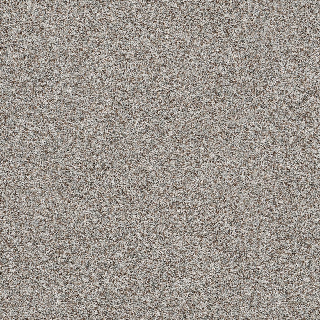 1-5665-7050-1200-a-variant-room-scene