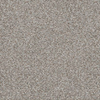 1-5665-7050-1200-a-variant-room-scene