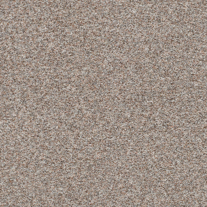 1-5655-7075-1200-a-variant-room-scene