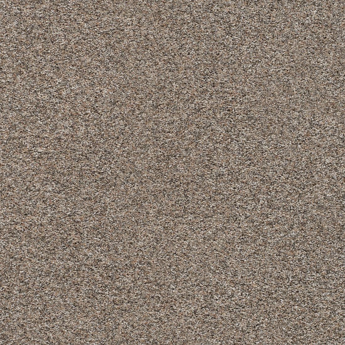 1-5665-7076-1200-a-variant-room-scene
