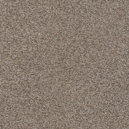 1-5665-7076-1200-a-variant-room-scene