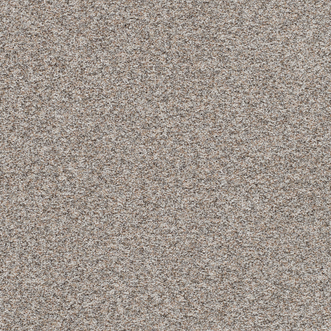 1-5665-7090-1200-a-variant-room-scene