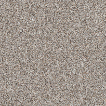 1-5665-7090-1200-a-variant-room-scene