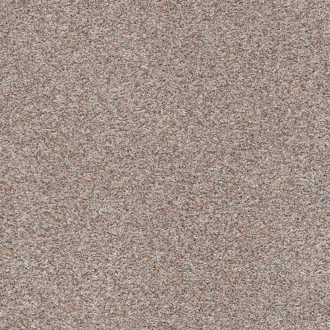 1-5665-7125-1200-a-variant-room-scene