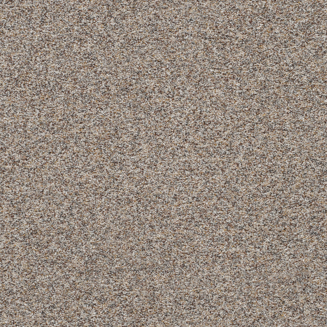 1-5665-7637-1200-a-variant-room-scene