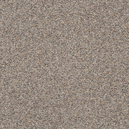 1-5665-7637-1200-a-variant-room-scene