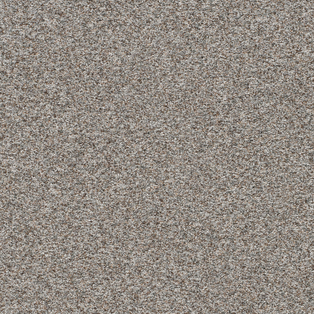 1-5665-7638-1200-a-variant-room-scene