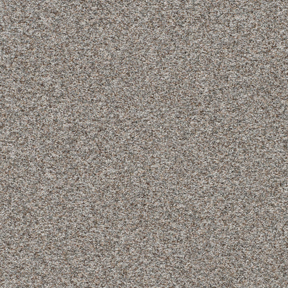 1-5665-7638-1200-a-variant-room-scene