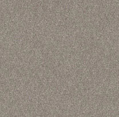 5E484-00100-swatch-shaw-floors