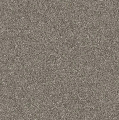 5E484-00101-swatch-shaw-floors