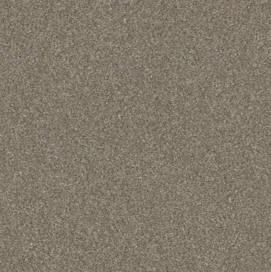 5E484-00102-swatch-shaw-floors