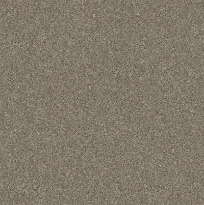 5E484-00102-swatch-shaw-floors