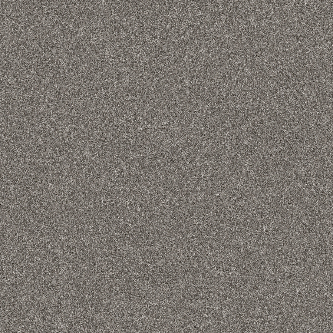 5E572-00509-swatch-shaw-floors