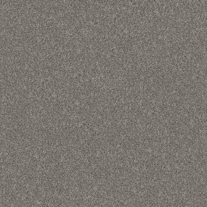 5E572-00509-swatch-shaw-floors