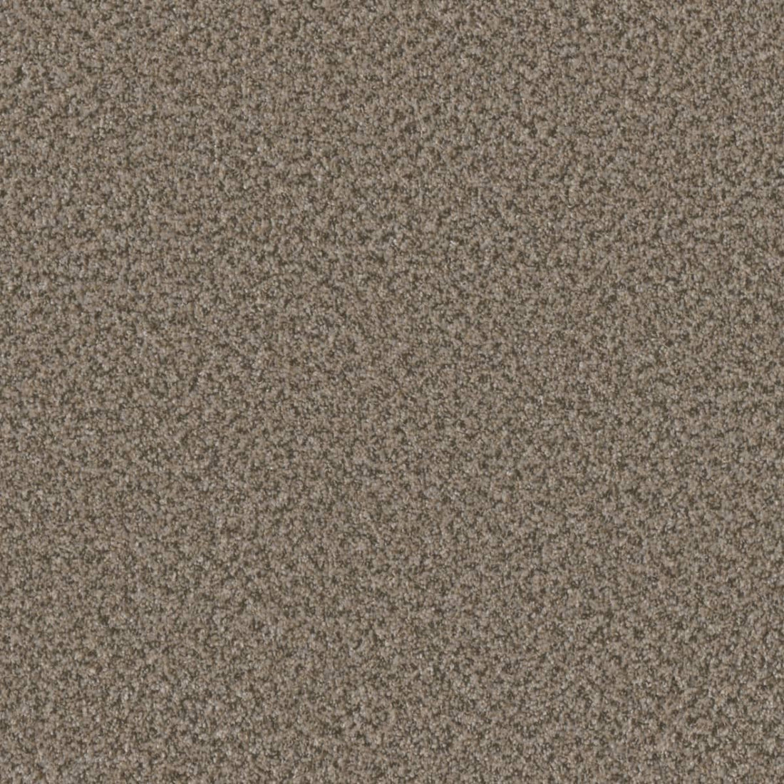 1-6240-4385-1200-a-variant-room-scene