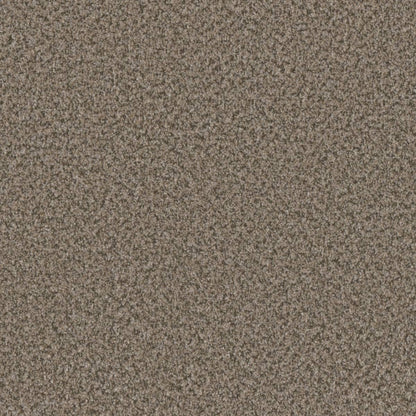 1-6240-4385-1200-a-variant-room-scene