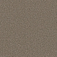 1-6260-4385-1200-a-variant-room-scene