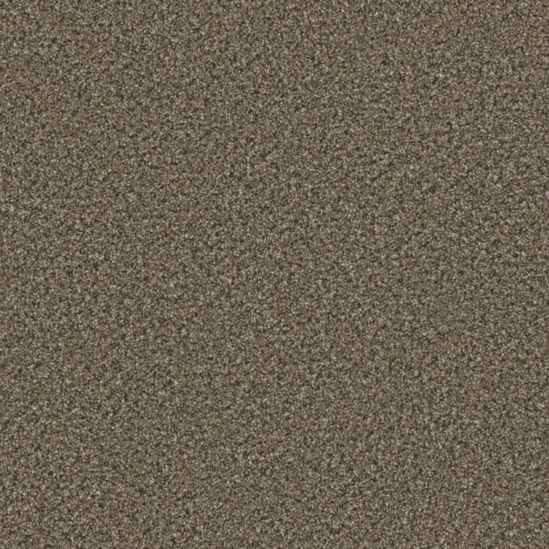 1-6240-4734-1200-a-variant-room-scene
