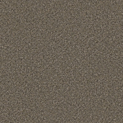 1-6240-4734-1200-a-variant-room-scene
