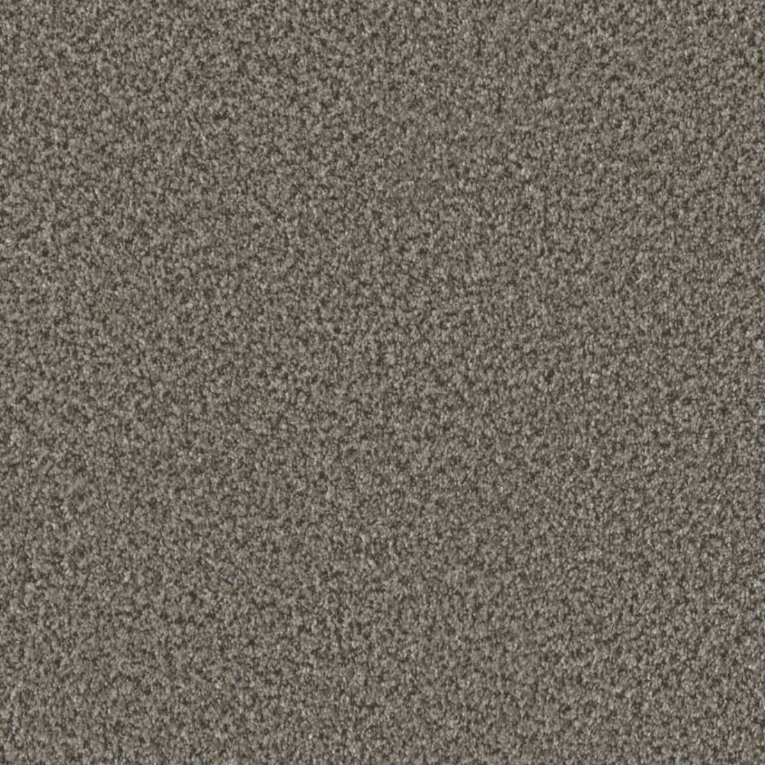 1-6260-4832-1200-a-variant-room-scene