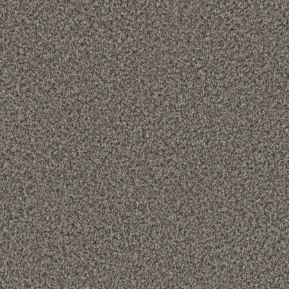 1-6260-4832-1200-a-variant-room-scene