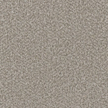 1-6240-4848-1200-a-variant-room-scene