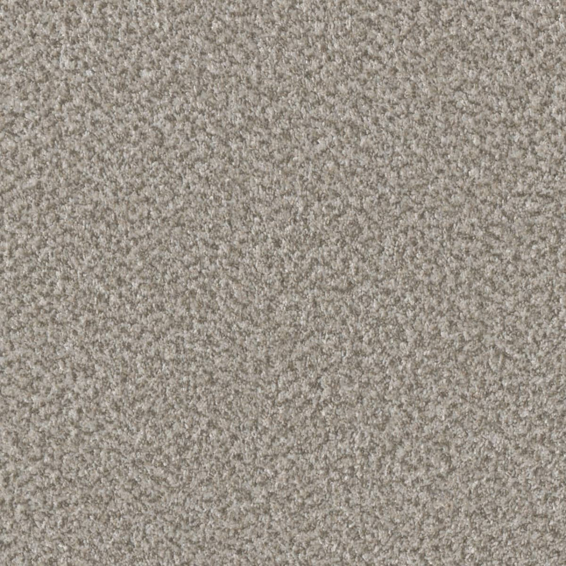 1-6260-4848-1200-a-variant-room-scene