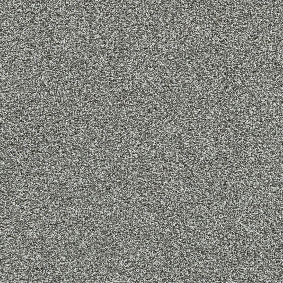 1-6265-4099-1200-a-variant-room-scene