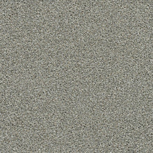 1-6255-4574-1200-a-variant-room-scene