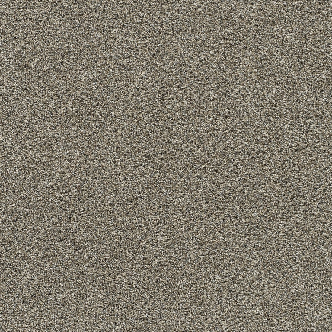 1-6265-4660-1200-a-variant-room-scene