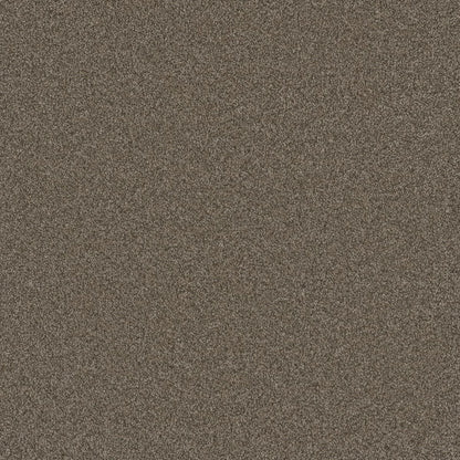 1-6340-4032-1200-a-variant-room-scene