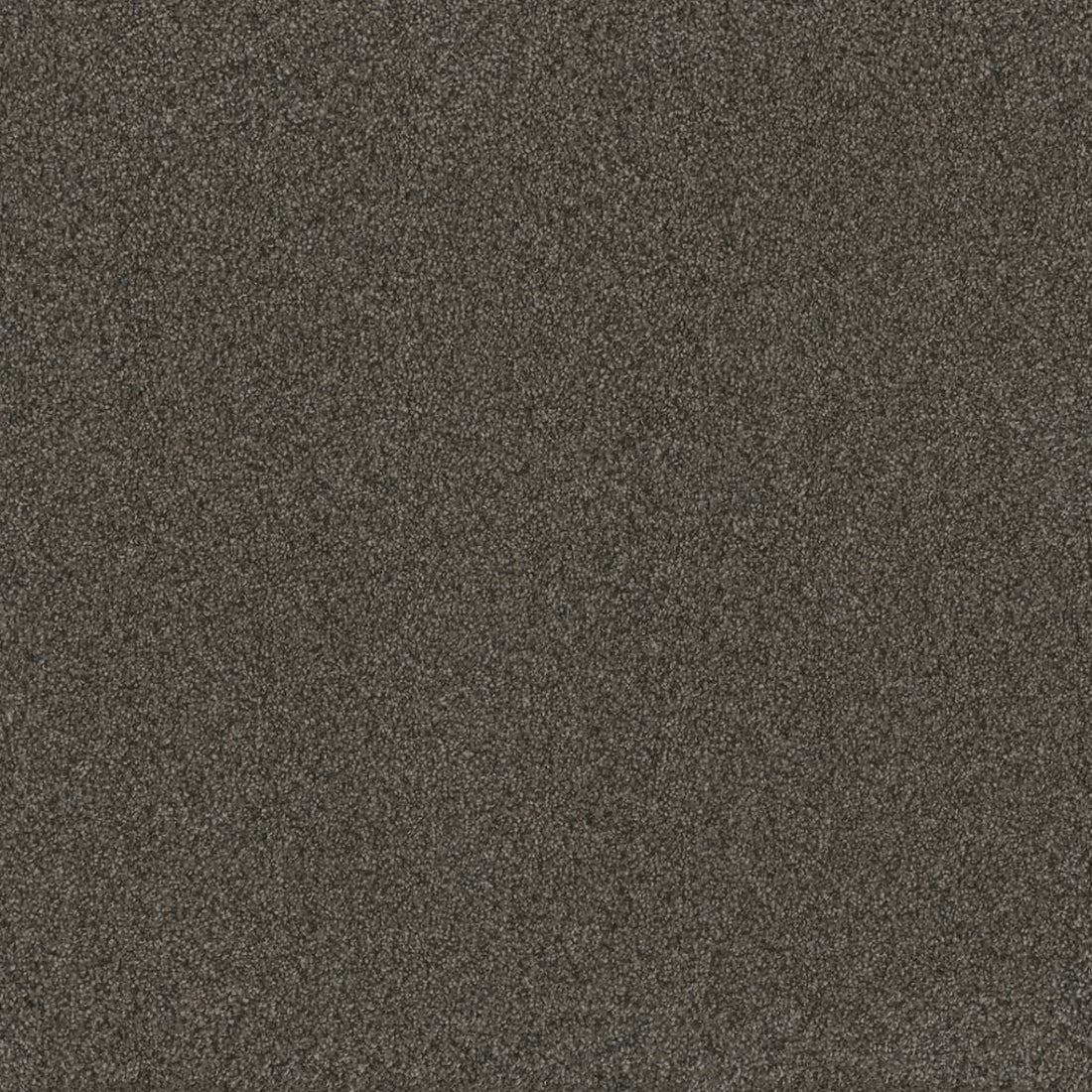 1-6340-4180-1200-a-variant-room-scene