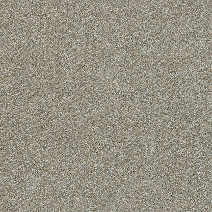 1-6362-4135-1200-a-variant-room-scene