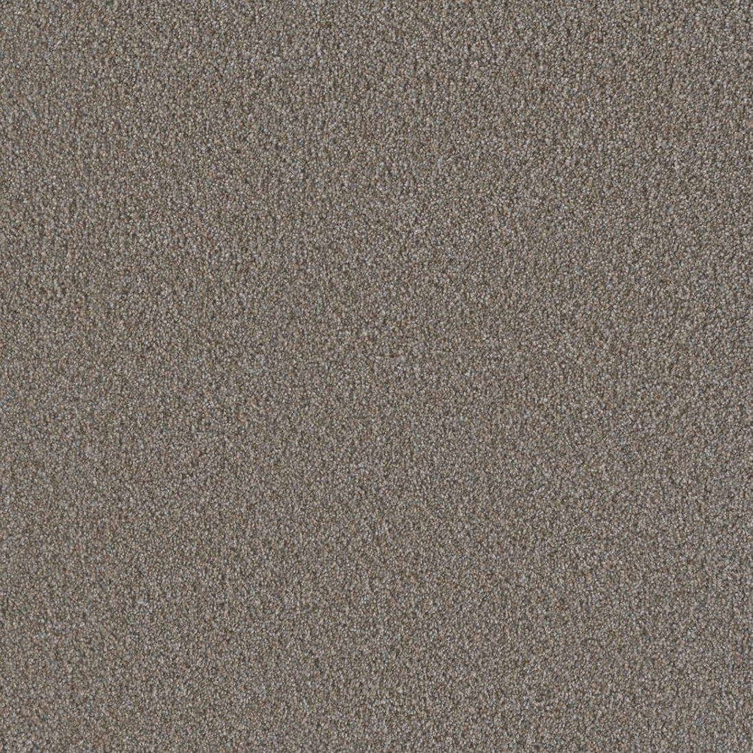 1-6446-136-1200-a-variant-room-scene