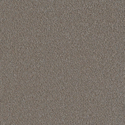 1-6446-136-1200-a-variant-room-scene