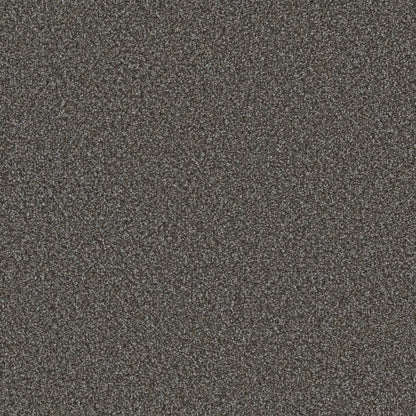 1-6437-157-1200-a-variant-room-scene