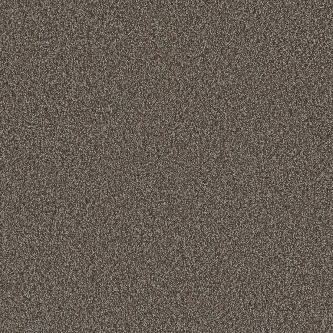 1-6454-240-1200-a-variant-room-scene
