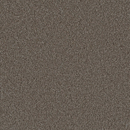 1-6454-240-1200-a-variant-room-scene