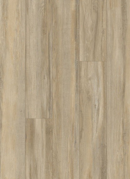 prs92-920-variant-room-scene