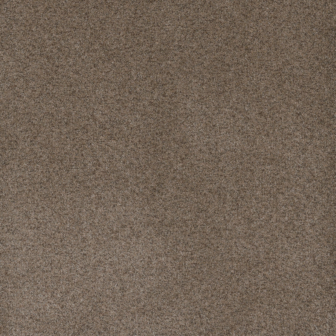 1-7165-2251-1200-a-variant-room-scene