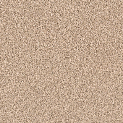 1-7404-580-1200-a-variant-room-scene