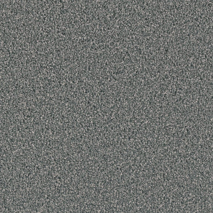1-7404-890-1200-a-variant-room-scene