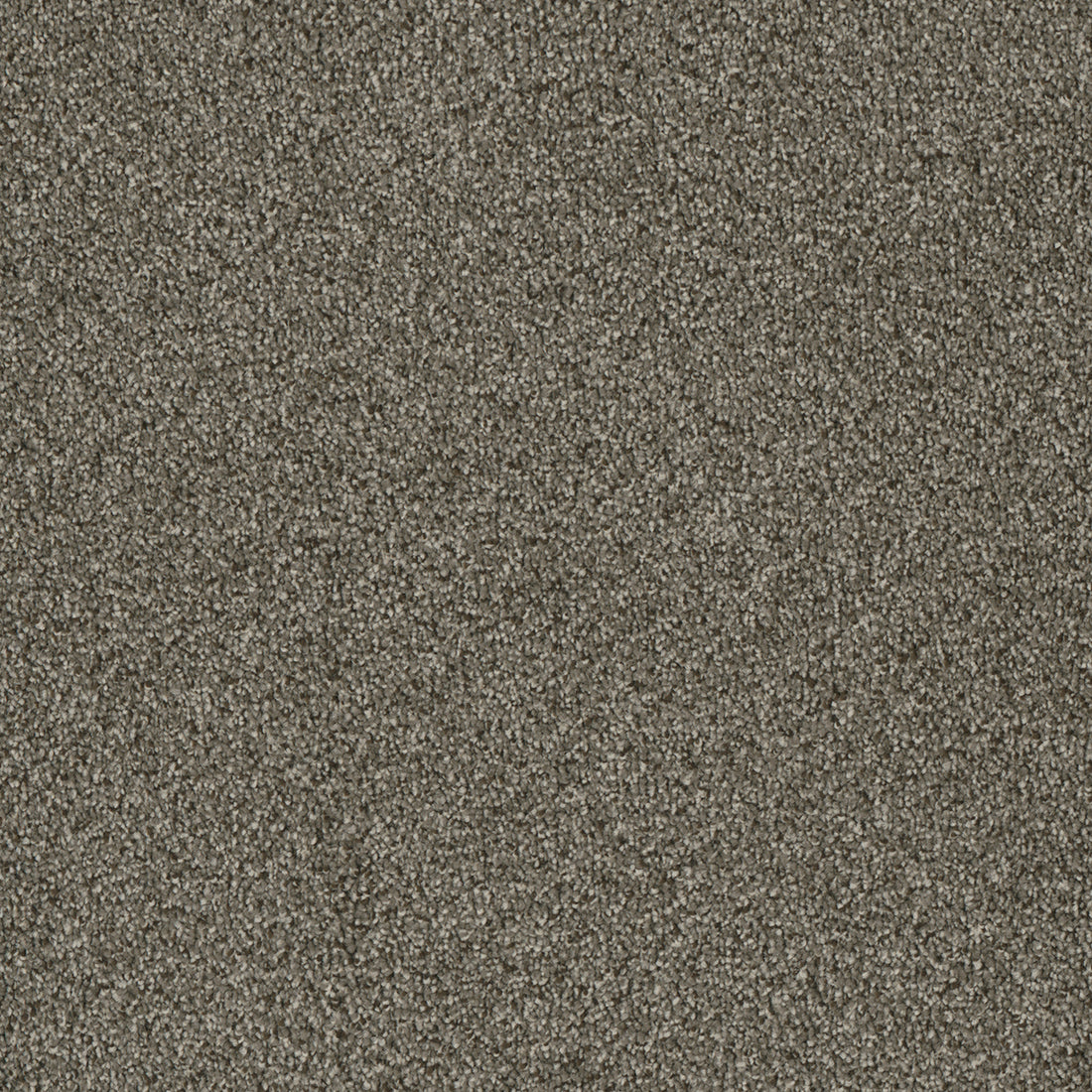 1-7760-244-1200-a-variant-room-scene