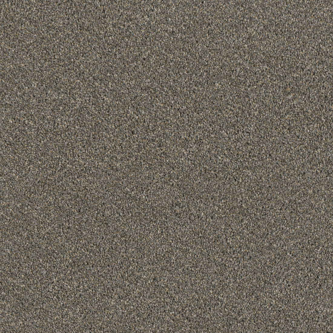 1-7750-641-1200-a-variant-room-scene