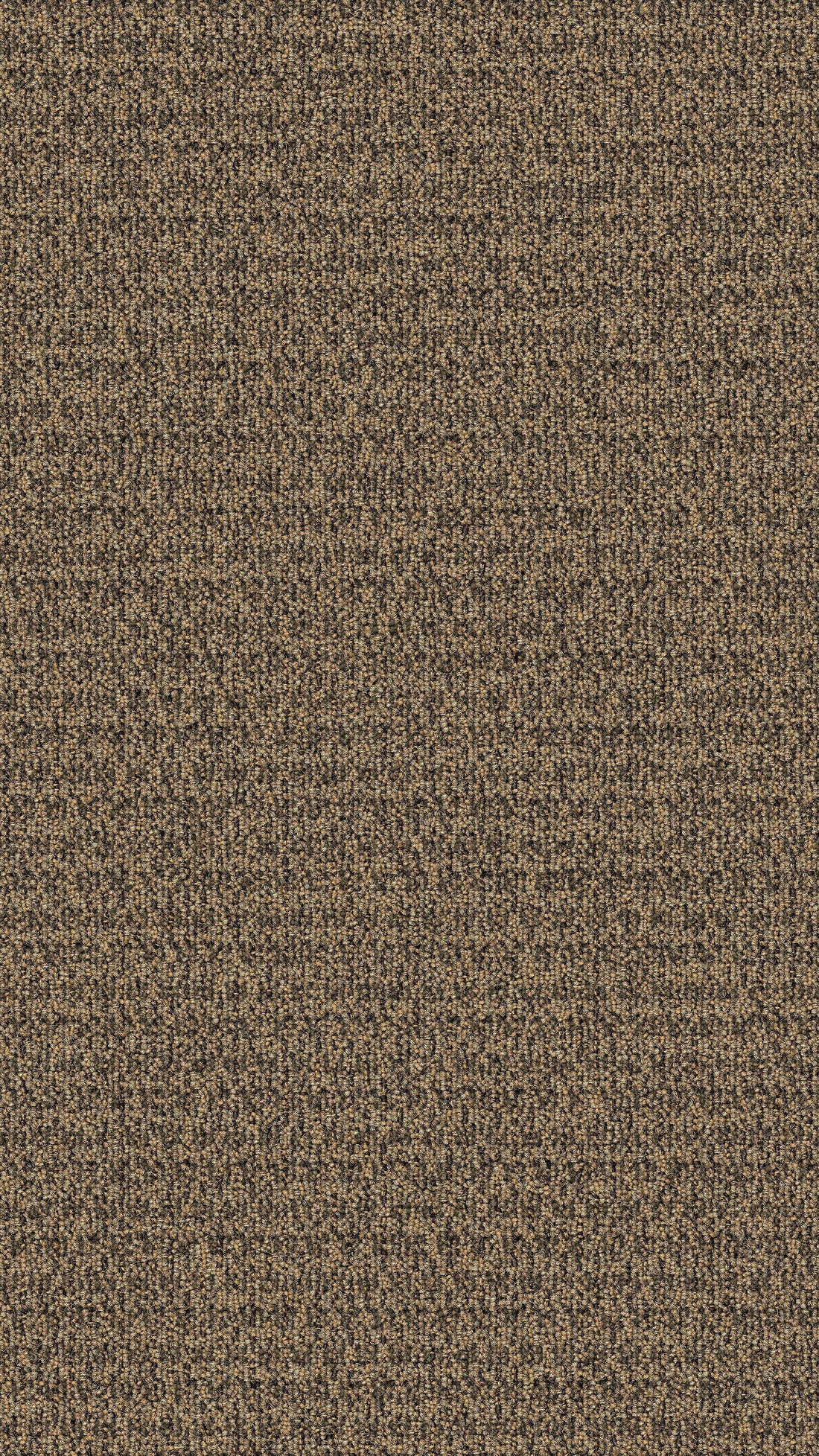 1z32-838-variant-room-scene