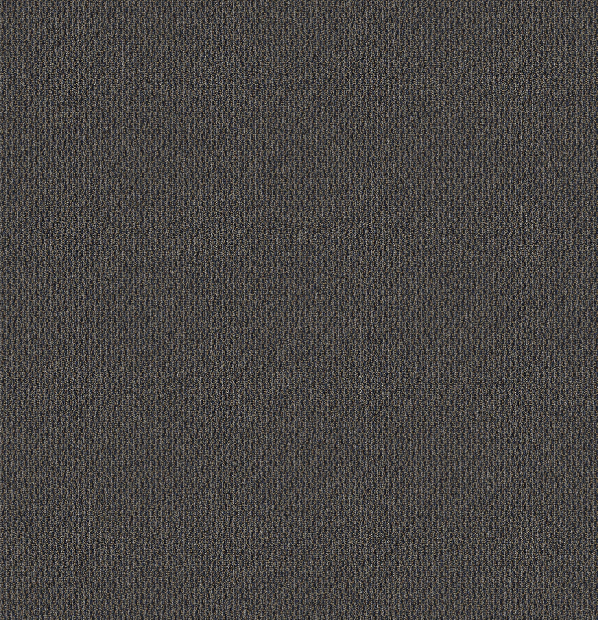 2b181-579-variant-room-scene