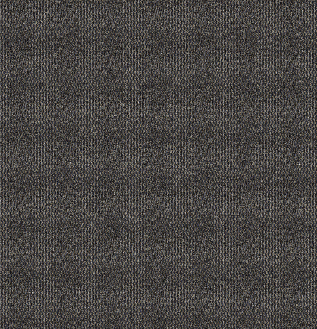 2b181-579-variant-room-scene