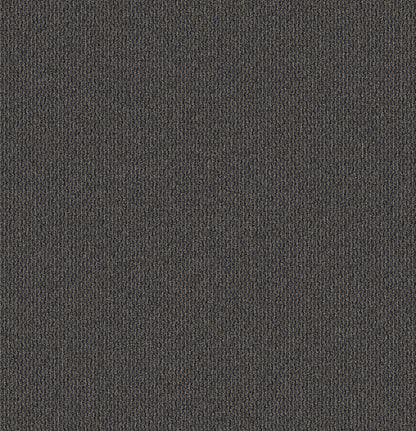 2b181-579-variant-room-scene